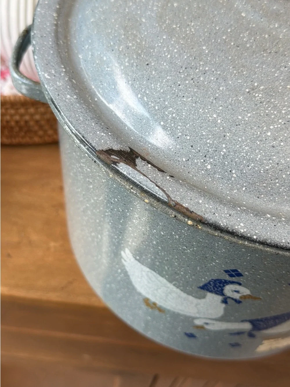 Blue Speckled Goose Enamel Stockpot with Lid - Blue